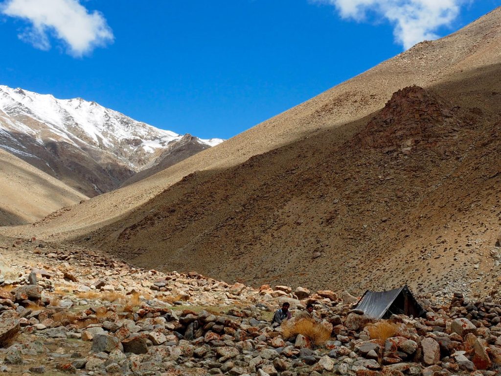 Ladakh Trek tent