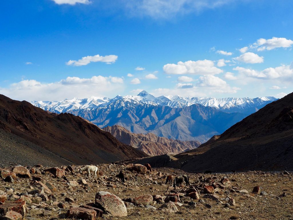 Ladakh Trek Stok Kangri