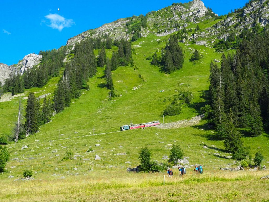 シーニゲプラッテからは登山電車で下山。車内から眺める景色も美しかった