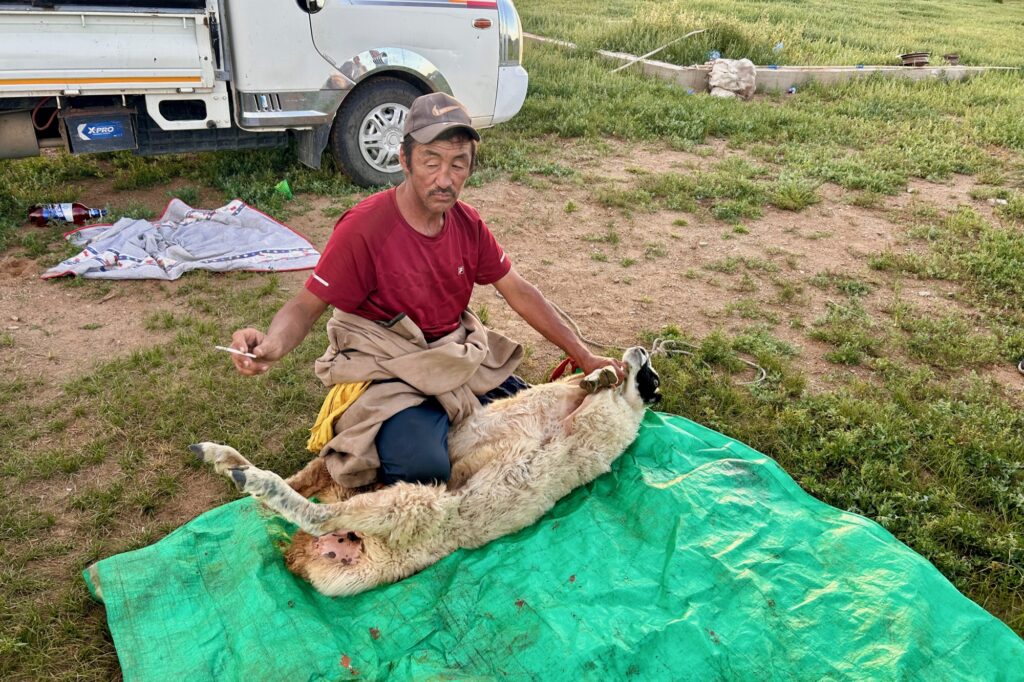 羊の屠殺・解体作業