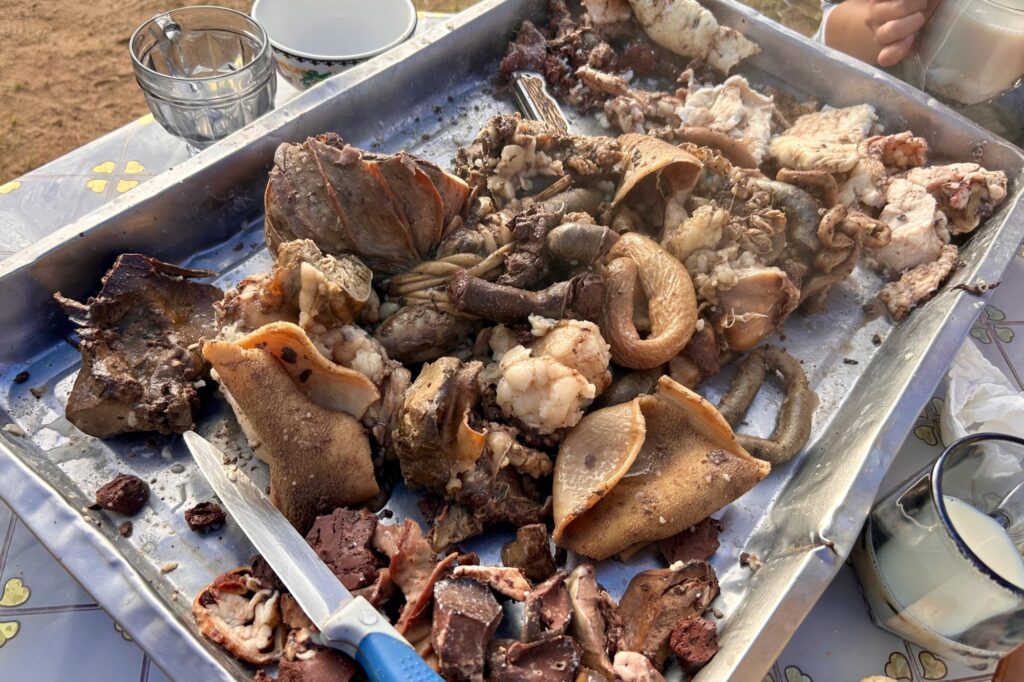 新鮮なうちに茹でて頂いた羊のホルモン